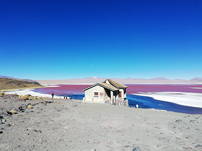 10 Pink Lakes From Around the World - WorldAtlas