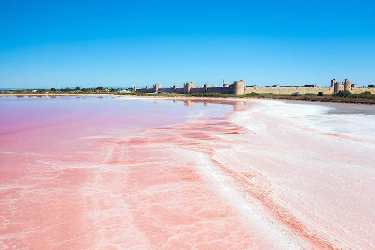 Pink lakes of Salin d'Aigues-Mortes in Camargue region of France, with a fortified village in the background; photo by Wirestock.