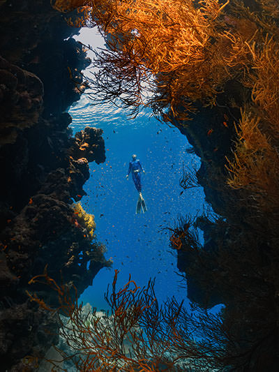 A man freediving in Saudi Arabia, framed by coral reefs; photo by Neom, Unsplash.