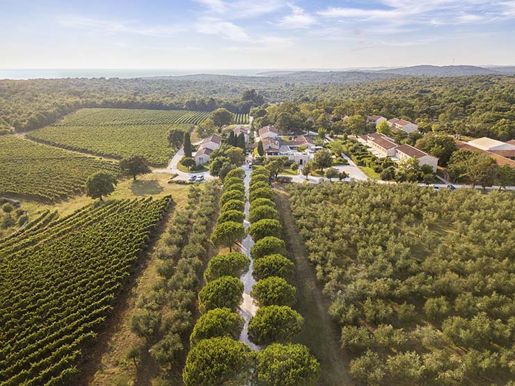 Meneghettie Estate in Bale, Istria, with vineyards and wine hotel, a great place to spend a honeymoon in Croatia; photo by Meneghetti.