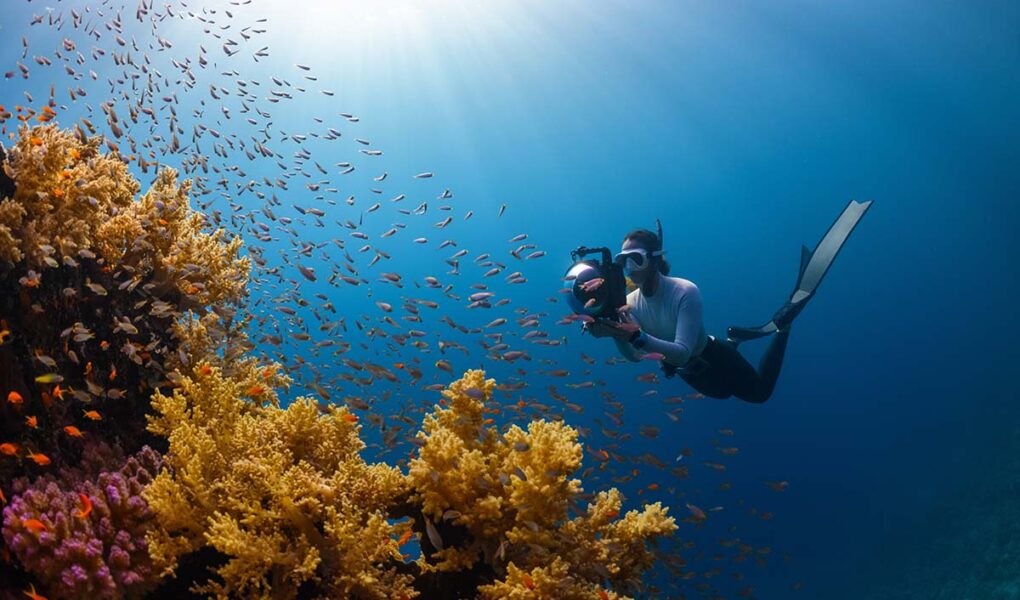 Snorkeler diving underwater with fish and coral, filming them with a camera in underwater housing, in Saudi Arabia; photo by Neom, Unsplash.