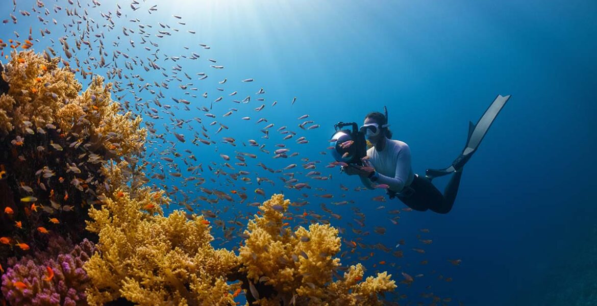 Underwater Housing for Your Camera A Deep Dive Pipeaway