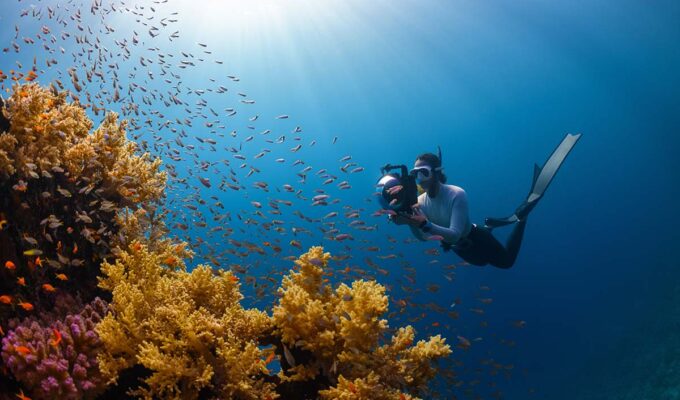 Snorkeler diving underwater with fish and coral, filming them with a camera in underwater housing, in Saudi Arabia; photo by Neom, Unsplash.