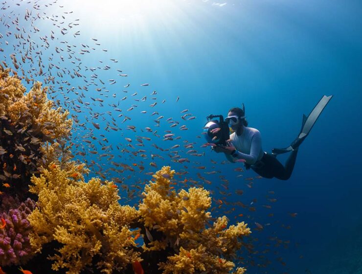 Snorkeler diving underwater with fish and coral, filming them with a camera in underwater housing, in Saudi Arabia; photo by Neom, Unsplash.