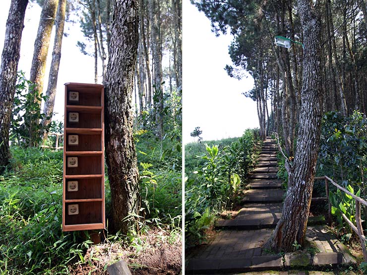 Electricity sockets and street lamp installed in trees at Bukit Moko, forest hill above Bandung, Indonesia; photo by Ivan Kralj.