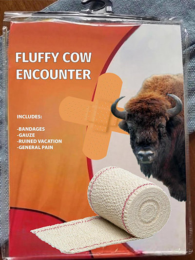 Survival kit with bandage for "Fluffy Cow Encounter", National Park Service humorous approach to advertise the danger of petting bisons and other wildlife.