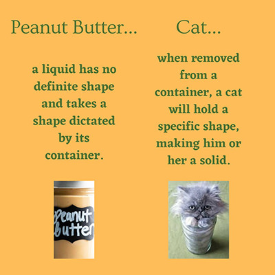 A peanut butter jar and a cat in a jar, with an explanation why the first one is considered a liquid ("has no definite shpae and takes a shape dictated by its container), and the latter one is not ("when removed from a container, a cat will hold a specific shape, making him or her a solid"); humorous take on airport security marketing by TSA.