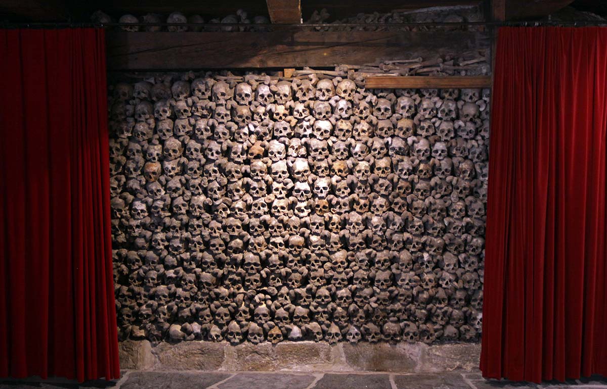 Bones Instead of Bricks
