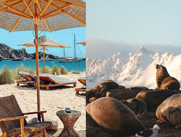 Beach lounge chairs in Ibiza, Spain (left, photo by Monique), and sea lions on a beach in Ushuaia, Argentina (right, photo by Allan Rodrigues); the same name of the Ibiza club Ushuaia and the southernmost city in the world led Brodi and David Cole to purchase tickets for the concert they wouldn't be able to attend.