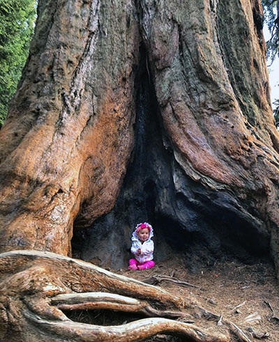 Baby Journey Castillo sitting in front of a giant sequoia at Sequoia National Park, one of the 63 national parks in the U.S. this child would visit before her third birthday.