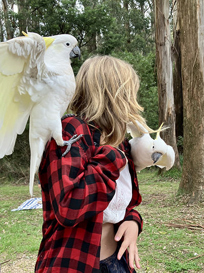 Rosa with white cockatoos in Australia, during her long slow trip from the UK.