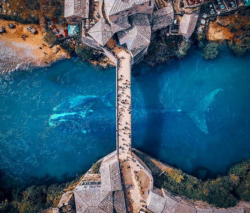 Stari Most or Mostar Bridge from above, with whales diving in the river, AI image shared by the Facebook page Ancient Scientist.