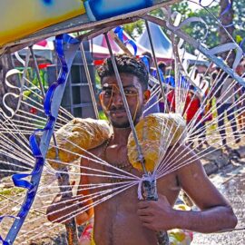 Hindu devotee carrying a mayil kavadi during Thaipusam in Penang, Malaysia; photo by Ivan Kralj.