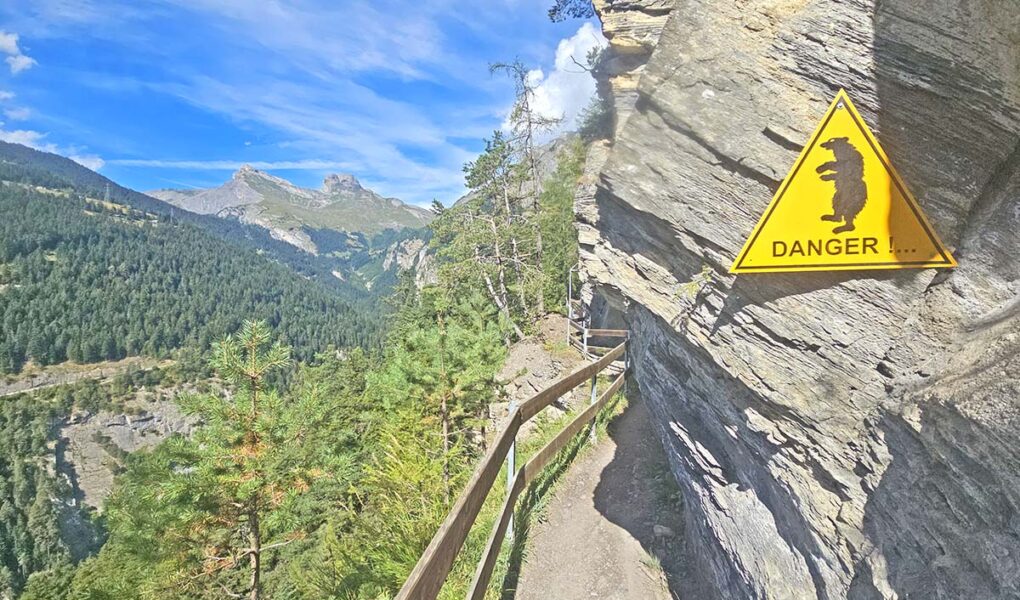Bear-warning sign on Bisse du Torrent Neuf hike trail - while there are no more bears in the Swiss Alps, the path like this cliffside trail in Saviese should still not be taken lightly; photo by Ivan Kralj.