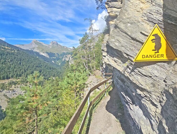 Bear-warning sign on Bisse du Torrent Neuf hike trail - while there are no more bears in the Swiss Alps, the path like this cliffside trail in Saviese should still not be taken lightly; photo by Ivan Kralj.