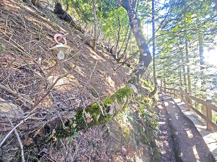 A found pacifier placed on a branch in the forest at the Bisse du Torrent Neuf hike in Saviese, Switzerland; photo by Ivan Kralj.