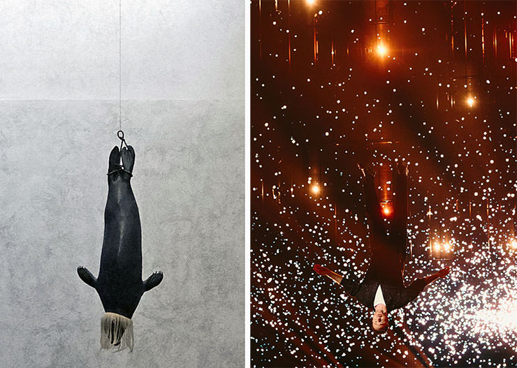 Diptych of "Untitled" seal bronze sculpture by Rosemarie Trockel and Alma Bengtsson / EBU's photograph of Klemen Slakonja hanging upside down during the performance of his song "How Much Time Do We Have Left” for Slovenia at Eurovision in Basel, Switzerland; Eurovision acts matched up with Kunstmuseum Basel artworks.