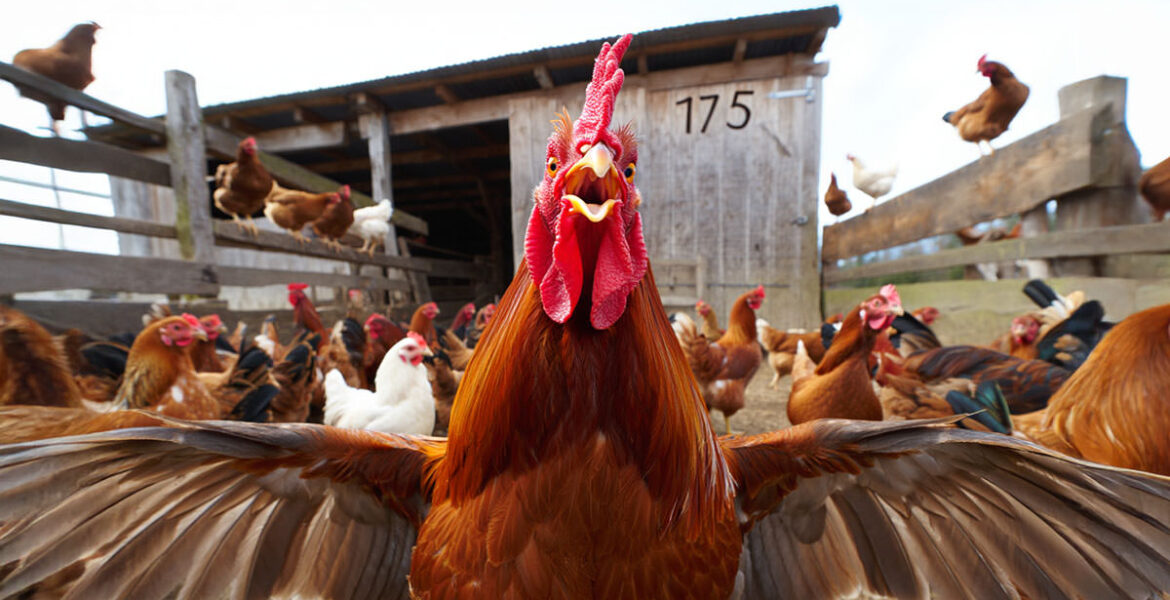 Pipeaway travel newsletter #175; AI image by Ivan Kralj - Reve / Adobe.