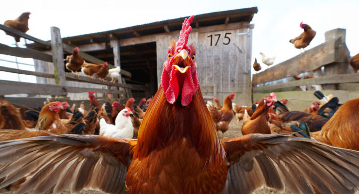 Pipeaway travel newsletter #175; AI image by Ivan Kralj - Reve / Adobe.