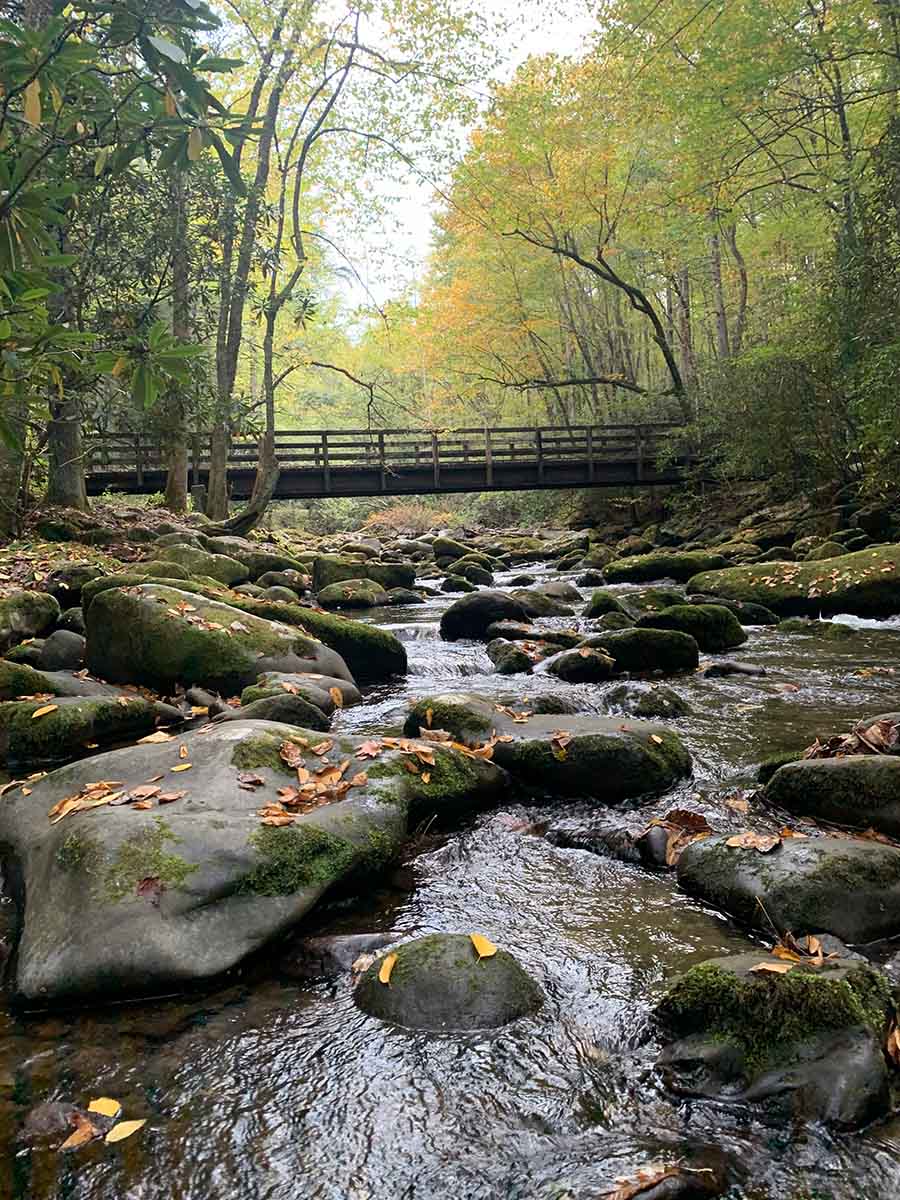 Bridge over a forest stream in the Great Smoky Mountains; photo by Loren Isaac, Unsplash.