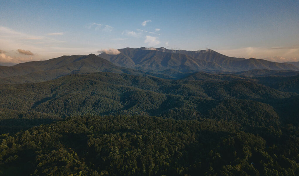 A tree-covered landscape of the Great Smoky Mountain National Park, as seen from Gatlinburg; photo by Steven Van Elk, Unsplash.