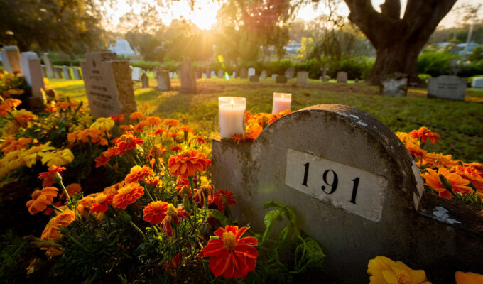 Pipeaway travel newsletter #191; AI image by Ivan Kralj - Reve / Adobe.