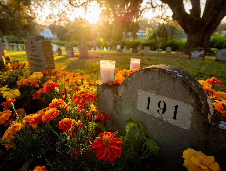 Pipeaway travel newsletter #191; AI image by Ivan Kralj - Reve / Adobe.