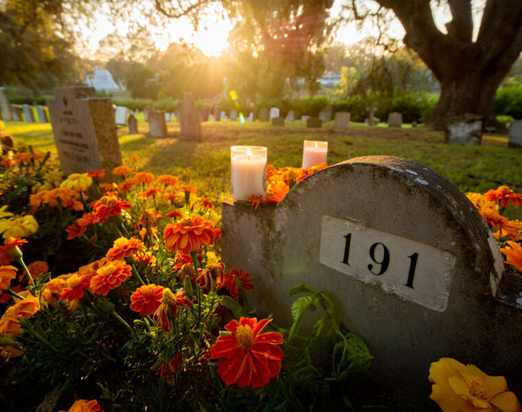 Pipeaway travel newsletter #191; AI image by Ivan Kralj - Reve / Adobe.