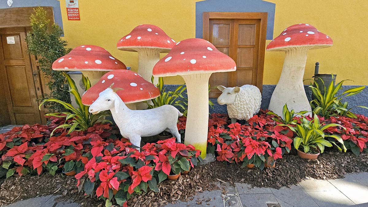 Goat and sheep figures among the oversized mushroom sculptures and real poinsettias Christmas flowers, displayed at Gáldar, Ciudad Navidad, the Christmas City of Gran Canaria, Spain; photo by Ivan Kralj.