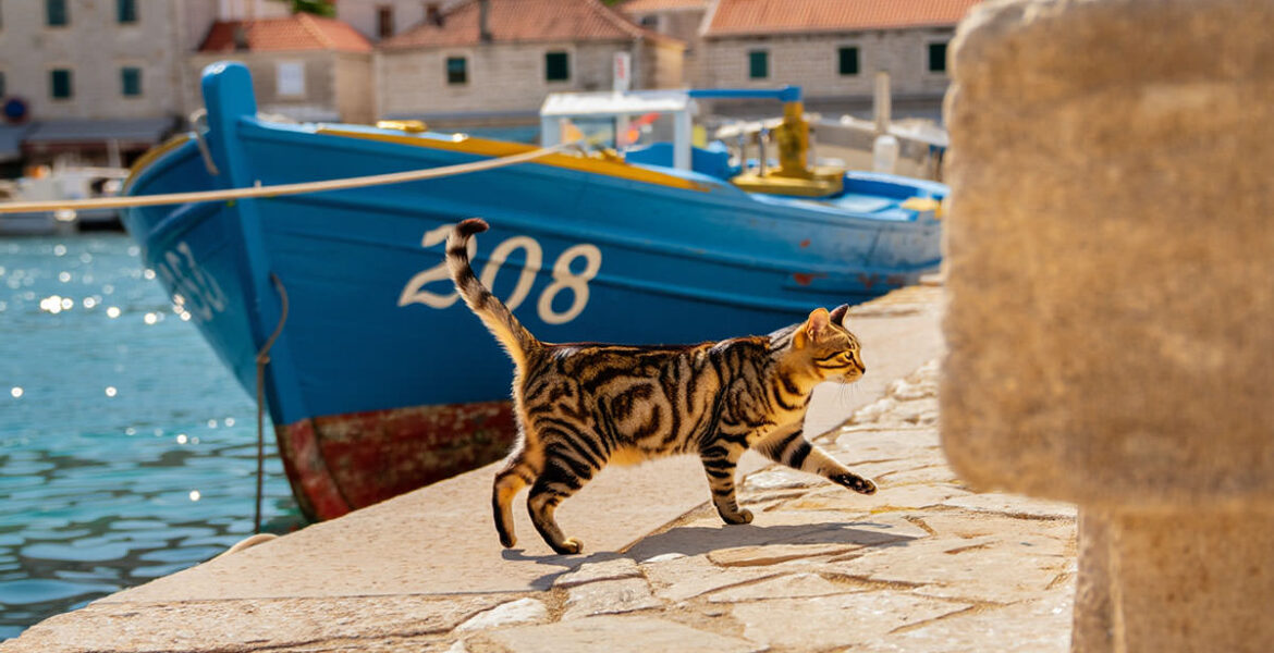 Pipeaway travel newsletter #208; AI image by Ivan Kralj - Reve/Adobe.