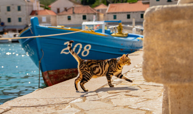 Pipeaway travel newsletter #208; AI image by Ivan Kralj - Reve/Adobe.