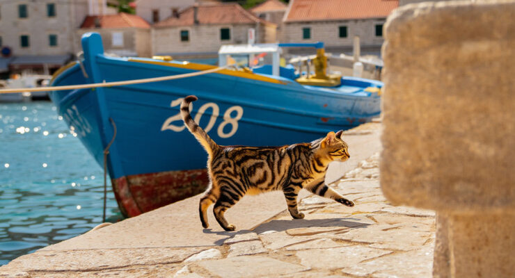 Pipeaway travel newsletter #208; AI image by Ivan Kralj - Reve/Adobe.