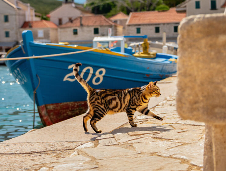 Pipeaway travel newsletter #208; AI image by Ivan Kralj - Reve/Adobe.