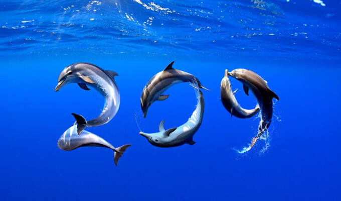 Pipeaway travel newsletter #209; AI image by Ivan Kralj - Reve/Adobe.