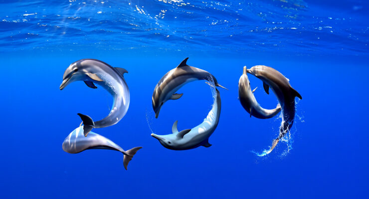 Pipeaway travel newsletter #209; AI image by Ivan Kralj - Reve/Adobe.