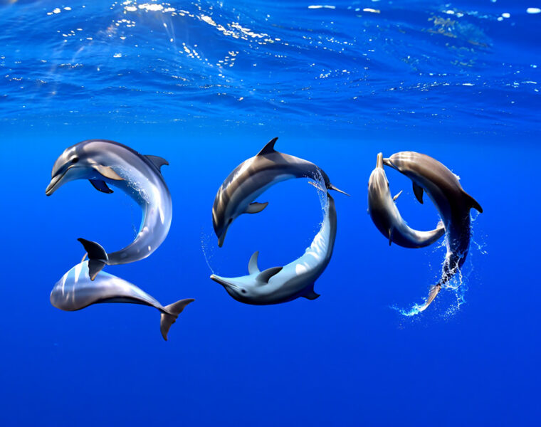 Pipeaway travel newsletter #209; AI image by Ivan Kralj - Reve/Adobe.