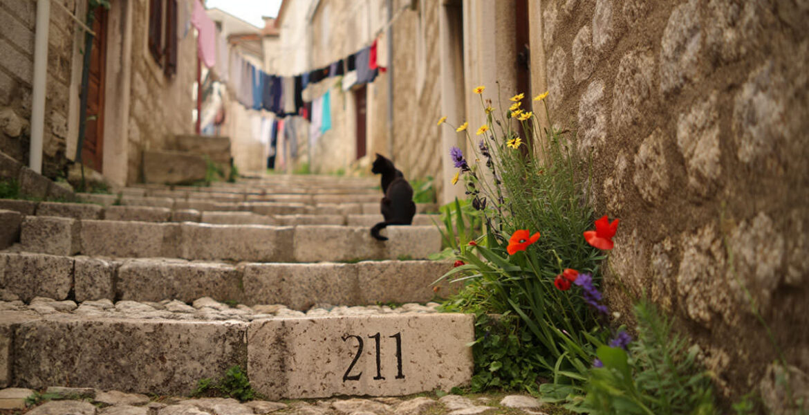 Pipeaway travel newsletter #211; AI image by Ivan Kralj - Reve/Adobe.