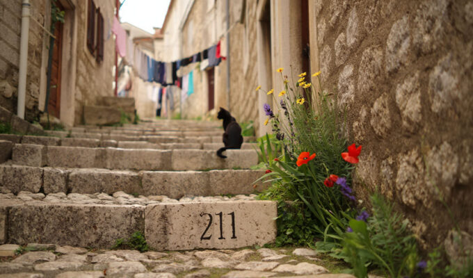 Pipeaway travel newsletter #211; AI image by Ivan Kralj - Reve/Adobe.