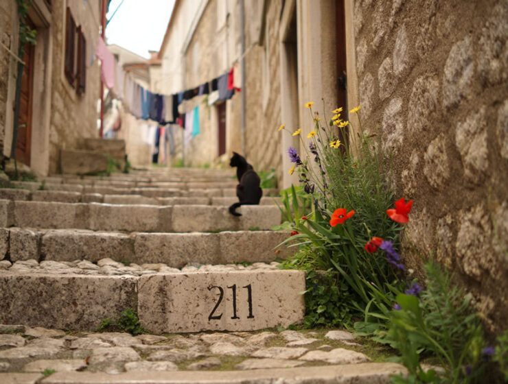 Pipeaway travel newsletter #211; AI image by Ivan Kralj - Reve/Adobe.