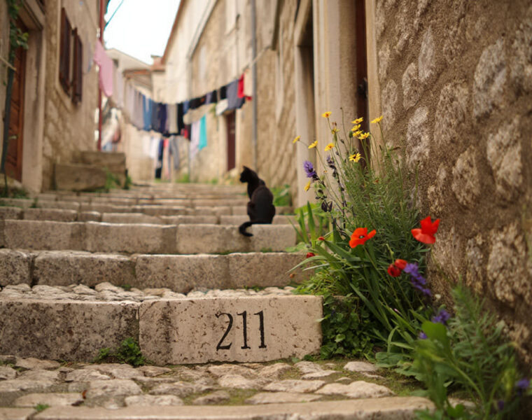 Pipeaway travel newsletter #211; AI image by Ivan Kralj - Reve/Adobe.