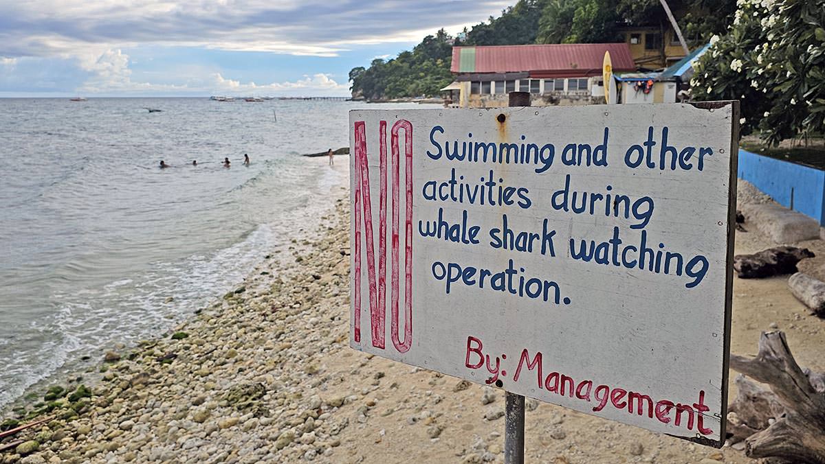 People swimming in the background of a sign at Tan-awan beach forbidding "swimming and other activities" during the Oslob whale shark watching operation, Cebu Island, the Philippines; photo by Ivan Kralj.