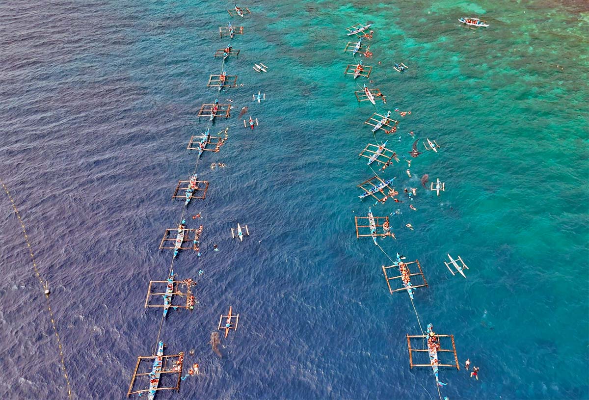 Rows of wooden bangka outrigger boats in Tan-awan barangay, positioned for Oslob whale shark watching experience that provides new source of income for the local fishing community; aerial drone photo by Ivan Kralj. 