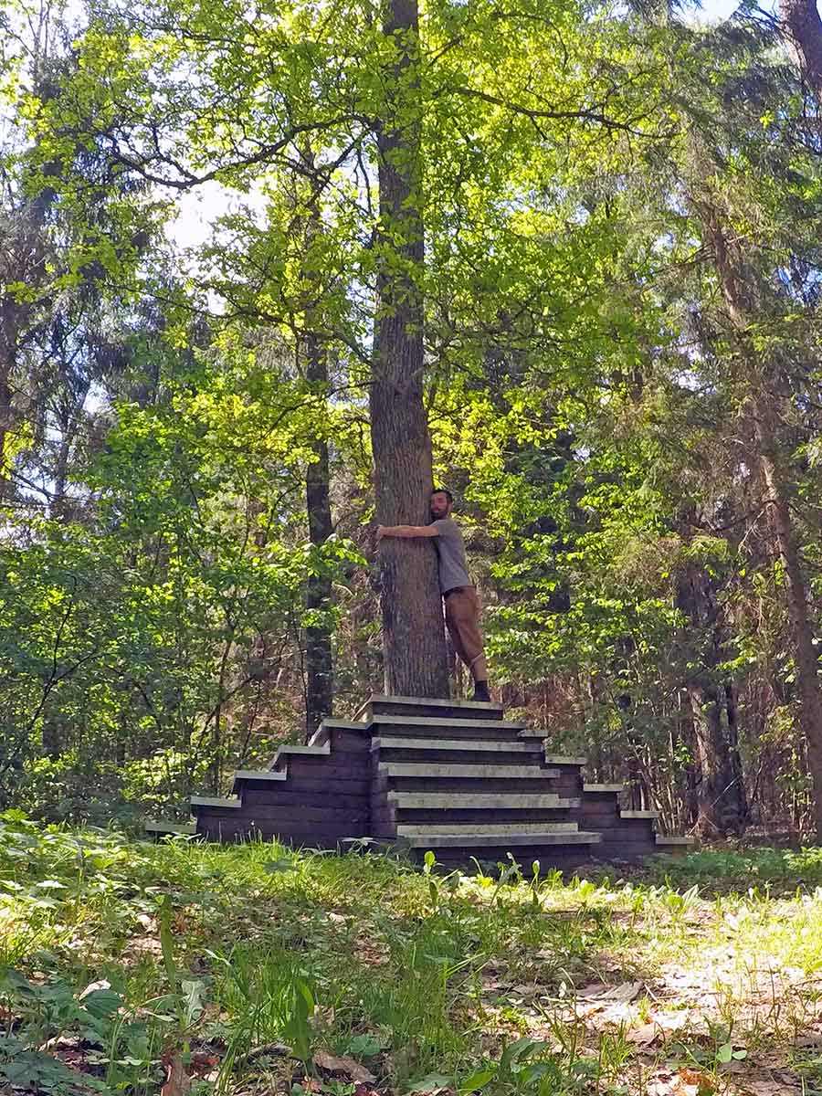"Pedestal for the Tree", the artwork by WELA /E.Wierzbicka/, with stairs leading to a tree in the forest of Europos Parkas, the geographical center of Europe in Vilnius, Lithuania - tree hugged by travel blogger Ivan Kralj; photo by Ivan Kralj.