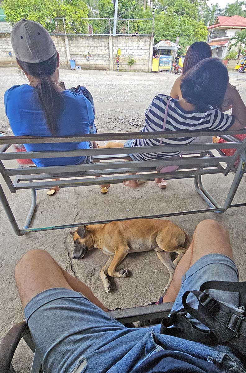 A stray dog sleeping on the ground among the passengers waiting for their transport at the bus station in Bato, Cebu Island, the Philippines; photo by Ivan Kralj.