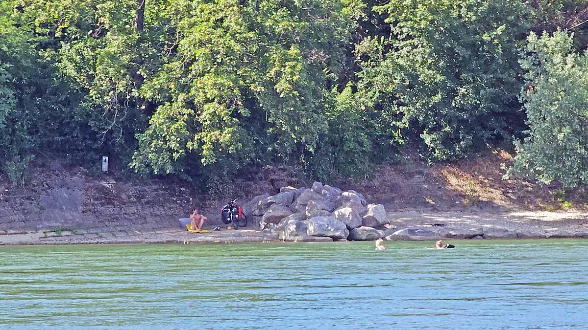 A naked man resting in the shade of the naturist beach while women float in the Rhine, in Basel, Switzerland; photo by Ivan Kralj.
