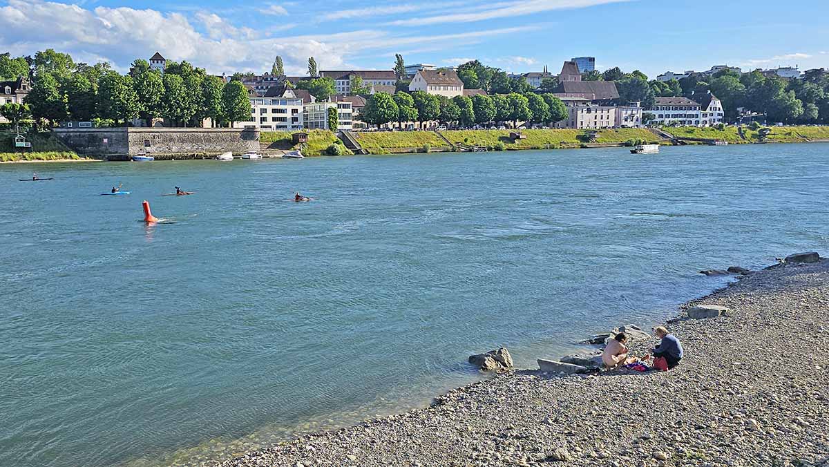 Rowers rowing boats in the Rhine in the background of the naturist beach in Basel, Switzerland; photo by Ivan Kralj.